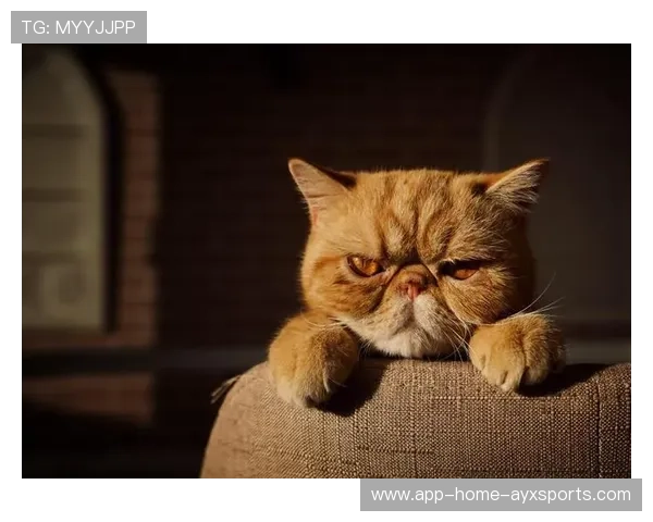 UFC经典瞬间揭秘：抱摔后砸地连击，瞬间终结对手的震撼瞬间